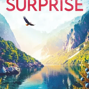 The Surprise (Juniper Springs Mystery)